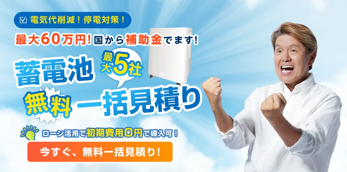 タイナビ蓄電池