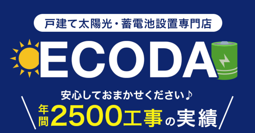 ECODAの実績