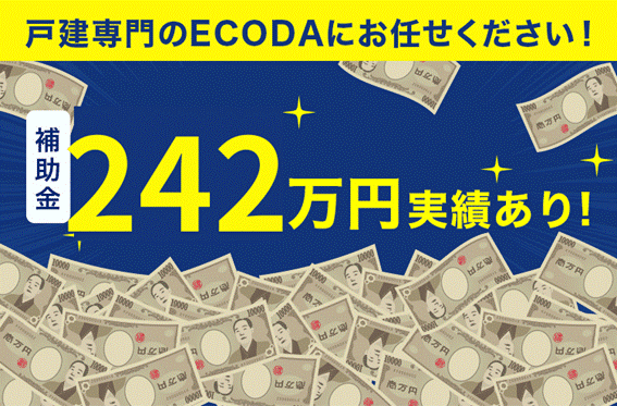 ECODAの実績