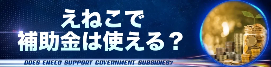えねこで補助金は使える?