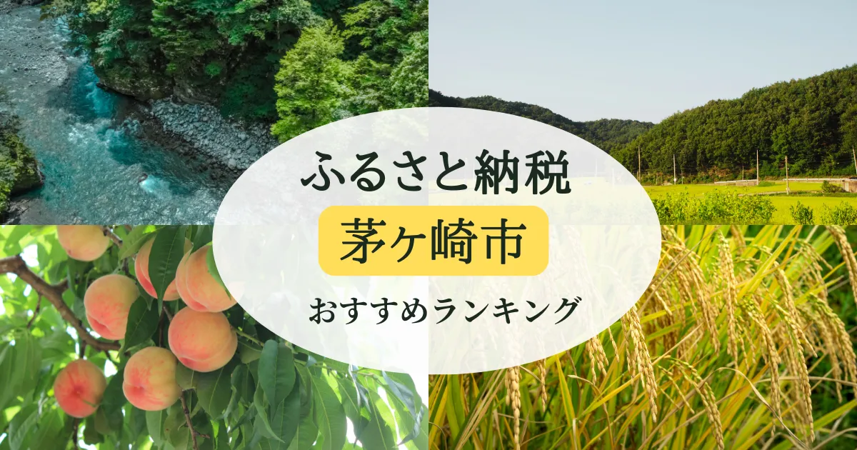 茅ヶ崎市のふるさと納税の人気＆おすすめ返礼品｜ランキング上位の返礼品をご紹介！