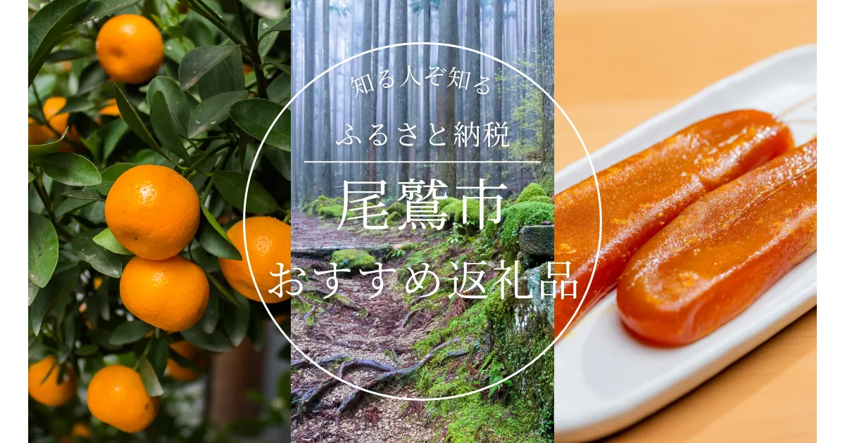 ［三重県］尾鷲市のふるさと納税の人気＆おすすめ返礼品｜ランキング上位の返礼品をご紹介！