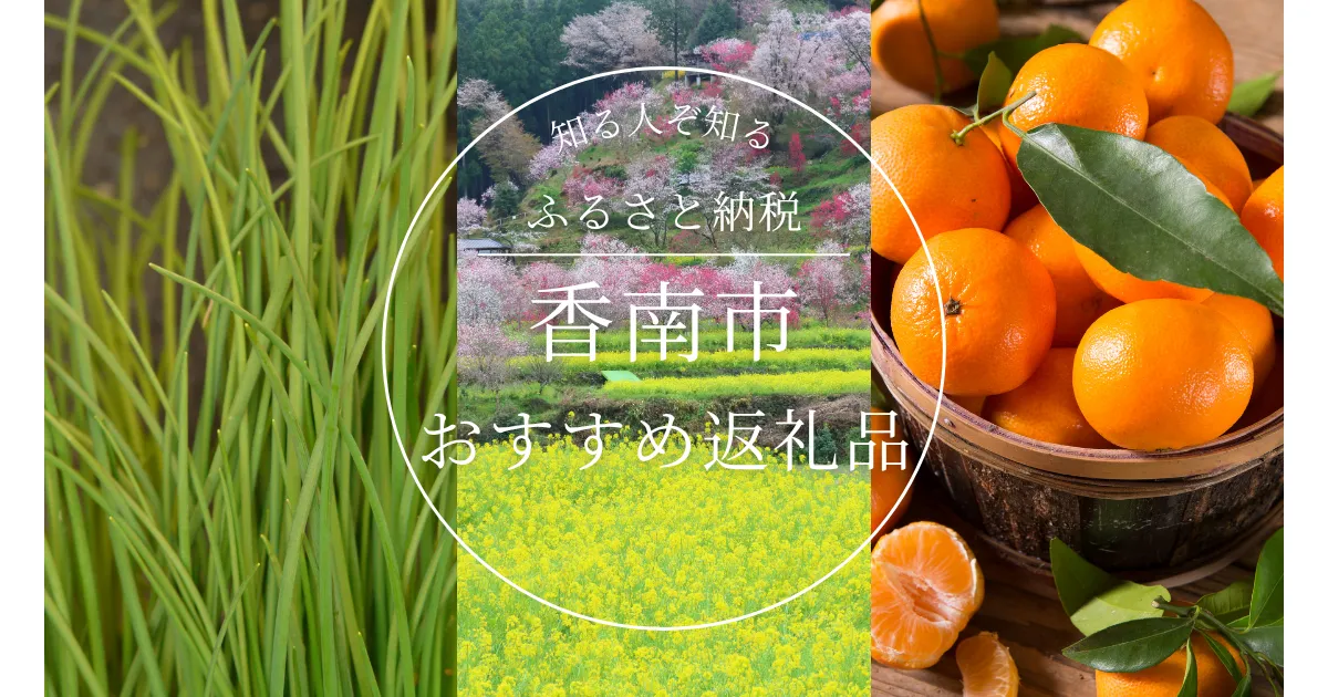 ［高知県］香南市のふるさと納税の人気＆おすすめ返礼品｜ランキング上位の返礼品をご紹介！