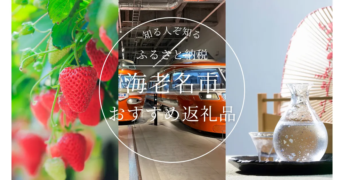 ［神奈川県］海老名市のふるさと納税の人気＆おすすめ返礼品｜ランキング上位の返礼品をご紹介！